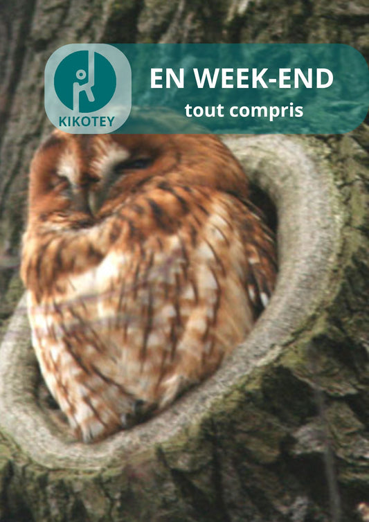 Ornithologie au Bois de Vincennes | Offre Week-End Tout Compris