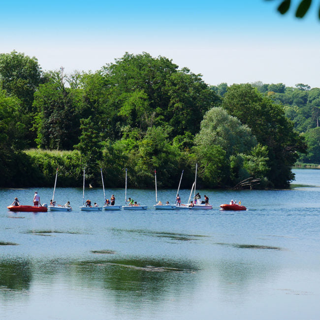 Ornithologie au Lac de l'Essonne | Offre Week-End Tout Compris | Viry-Chatillon-Grigny
