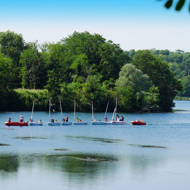 Ornithologie au Lac de l'Essonne | Offre En Semaine Tout Compris | Viry-Chatillon-Grigny