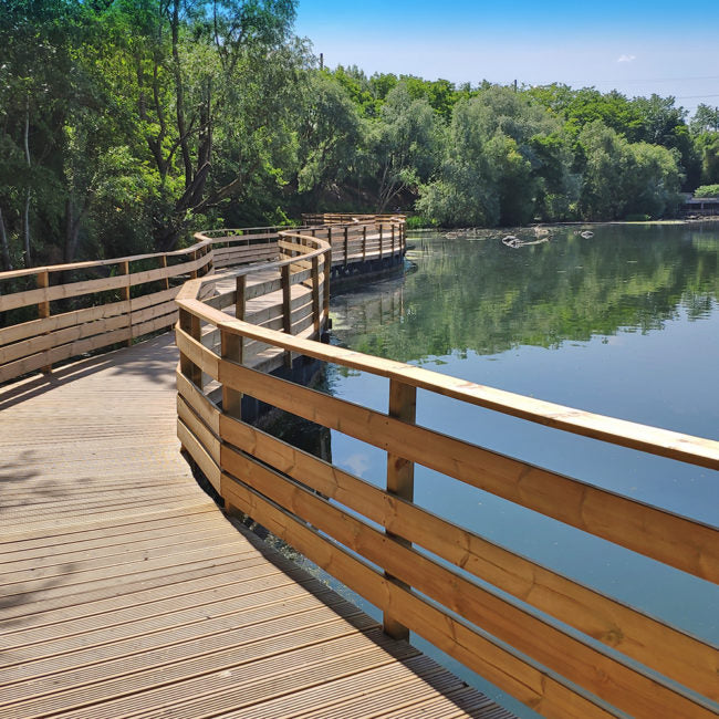 Ornithologie au Lac de l'Essonne | Offre En Semaine Tout Compris | Viry-Chatillon-Grigny