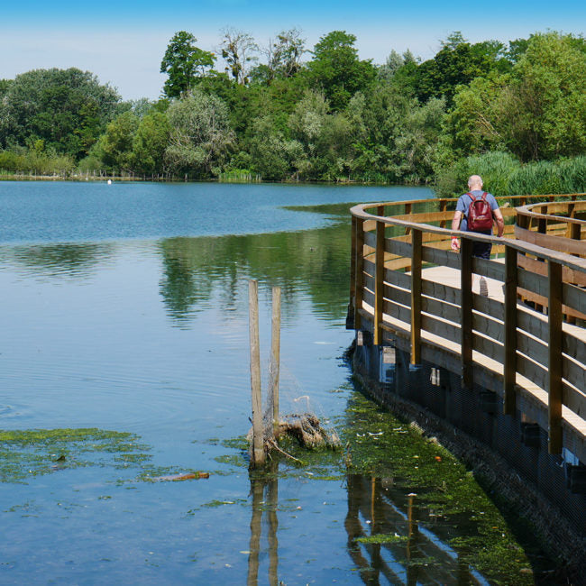 Ornithologie au Lac de l'Essonne | Offre En Semaine Tout Compris | Viry-Chatillon-Grigny