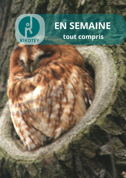 Ornithologie au Bois de Vincennes | Offre En Semaine Tout Compris