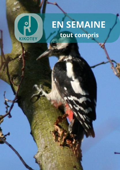 Ornithologie au Lac de l'Essonne | Offre En Semaine Tout Compris | Viry-Chatillon-Grigny