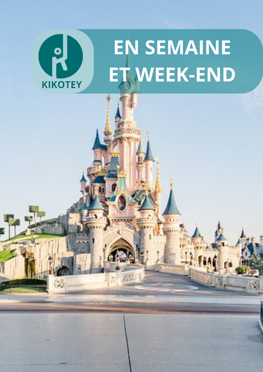 Parc d'attraction l Disneyland Paris l Offre en semaine et week-end  tout compris