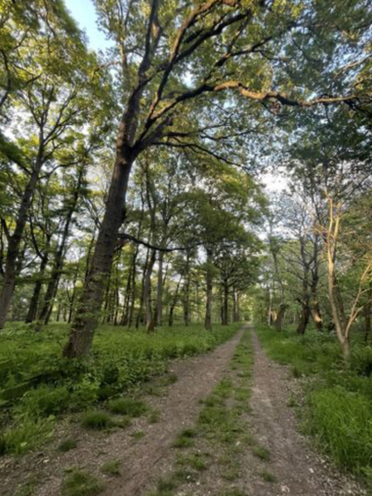 Randonné Bois Saint-Martin - Forêt de Maubué | Offre Week-End Tout Compris | Chelles