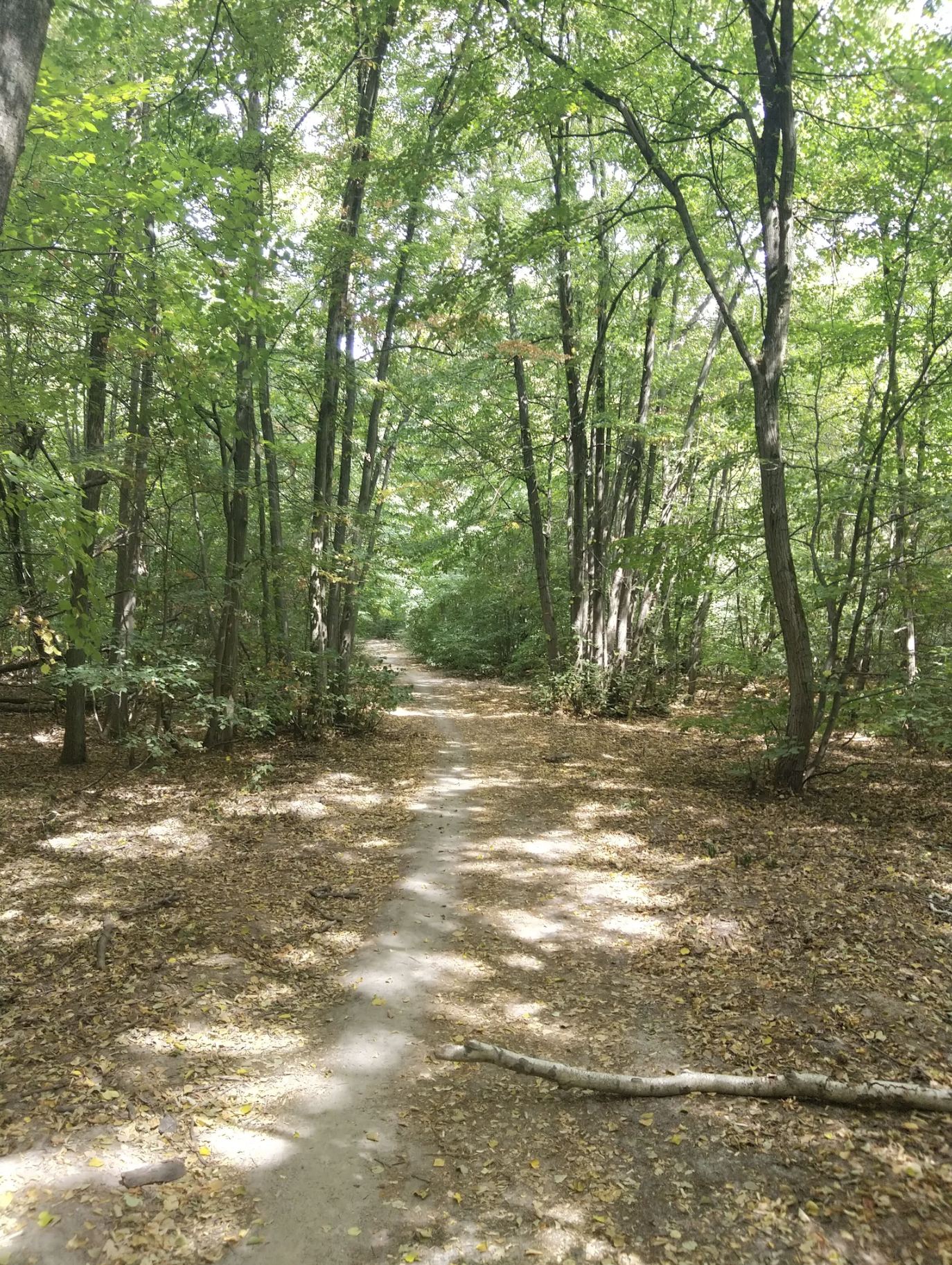 Randonné Forêt domaniale de Sénart | Offre Week-End Tout Compris | Essonne