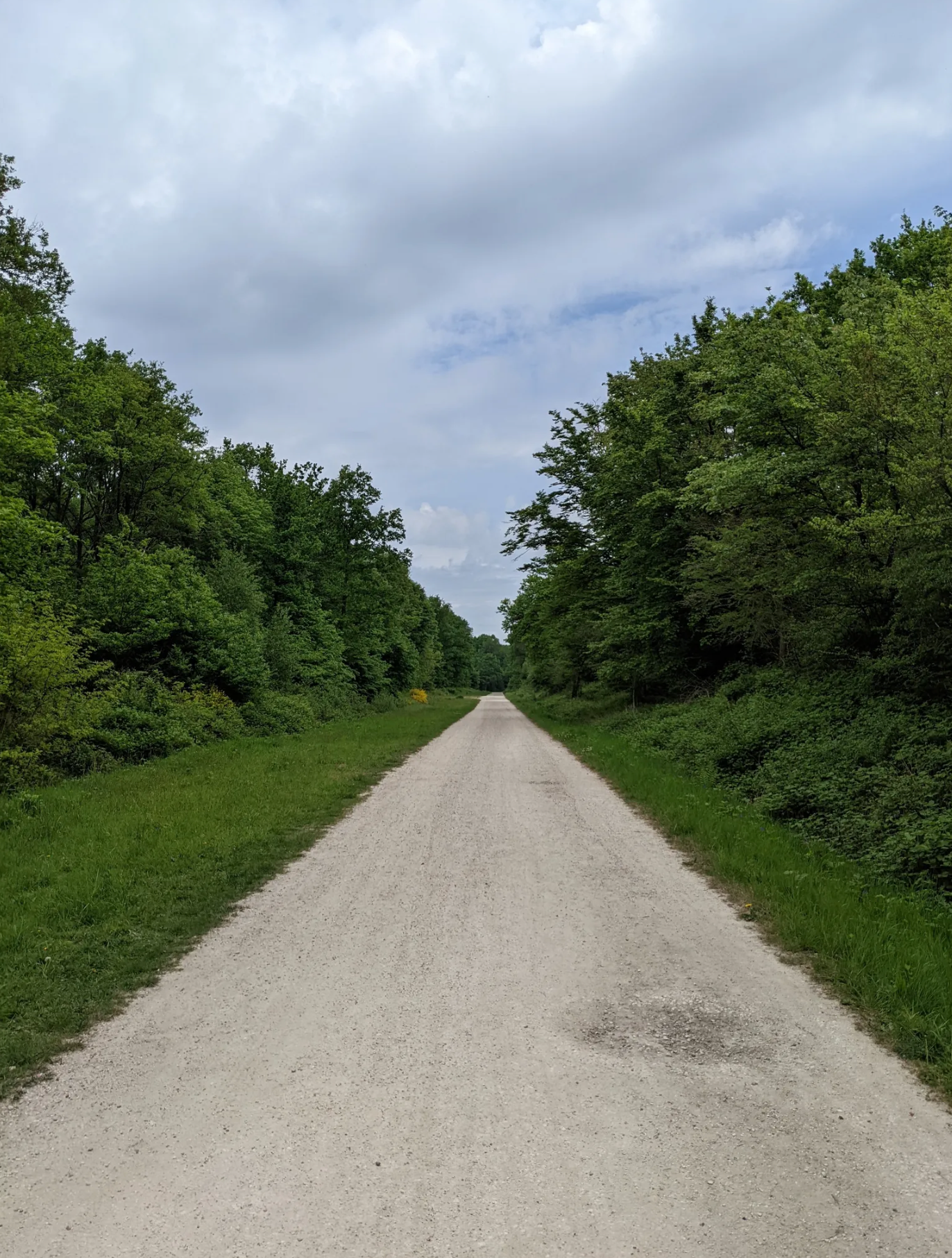 Randonné Forêt domaniale de Sénart | Offre Week-End Tout Compris | Essonne