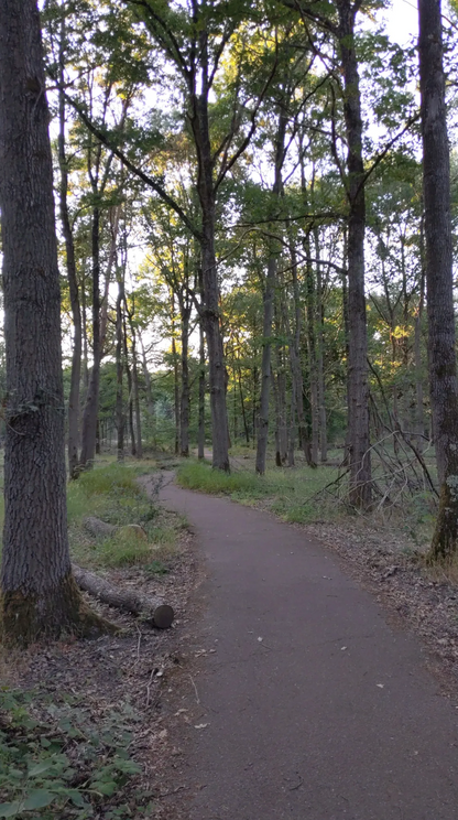 Randonné Forêt domaniale de Sénart | Offre Week-End Tout Compris | Essonne