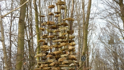 Randonné Forêt domaniale de Sénart | Offre Week-End Tout Compris | Essonne