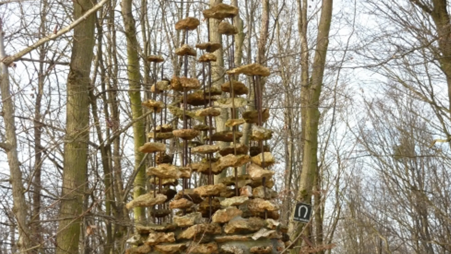 Randonné Forêt domaniale de Sénart | Offre En Semaine  Tout Compris | Essonne
