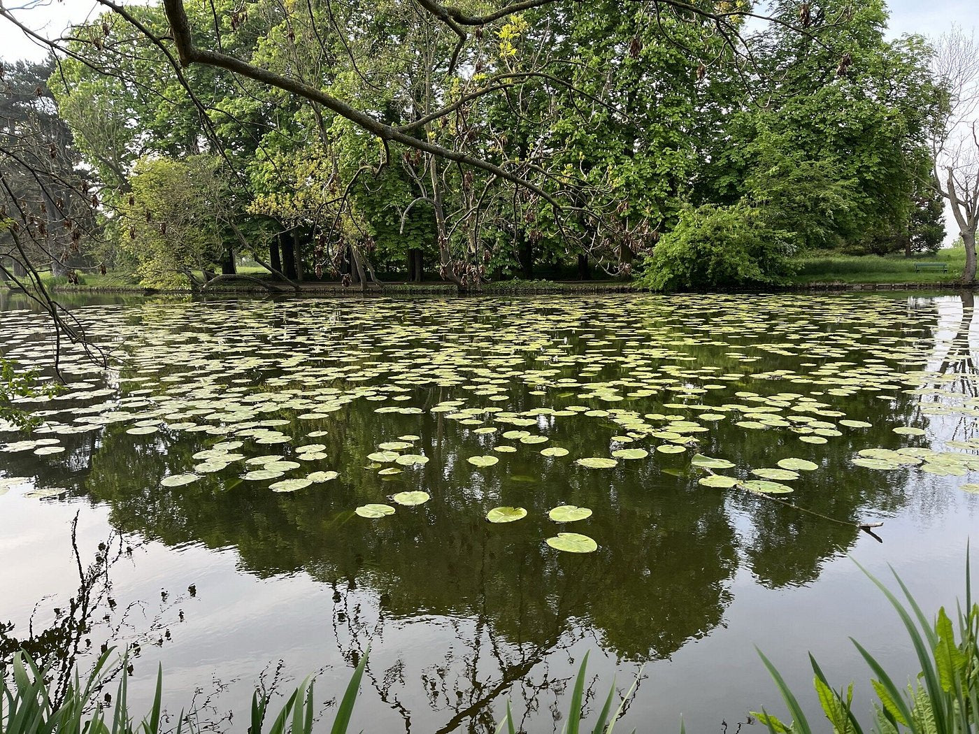 Pêche au lac de Gravelle | Offre Week-End Tout Compris | Bois de Vincennes