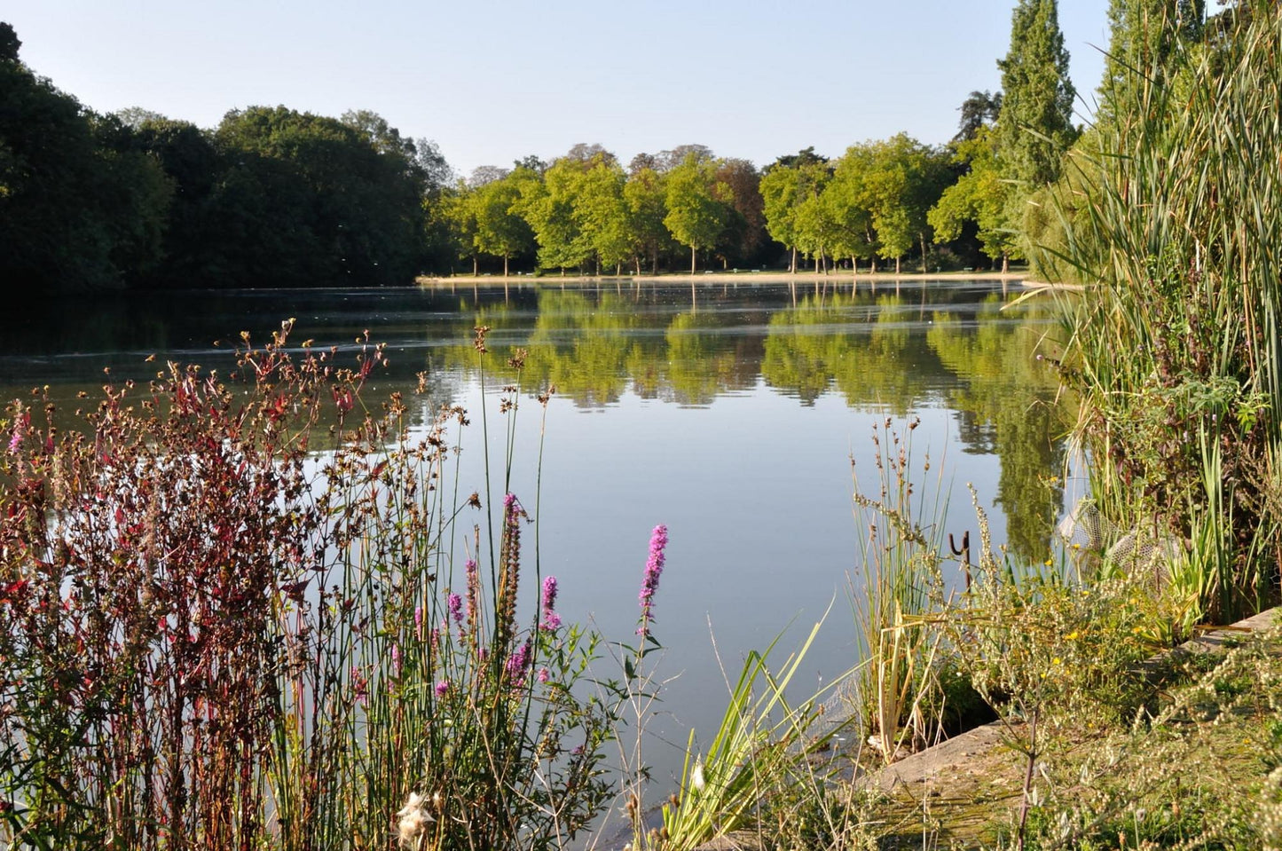 Pêche au lac des Minimes | Offre Semaine Tout Compris | Bois de Vincennes