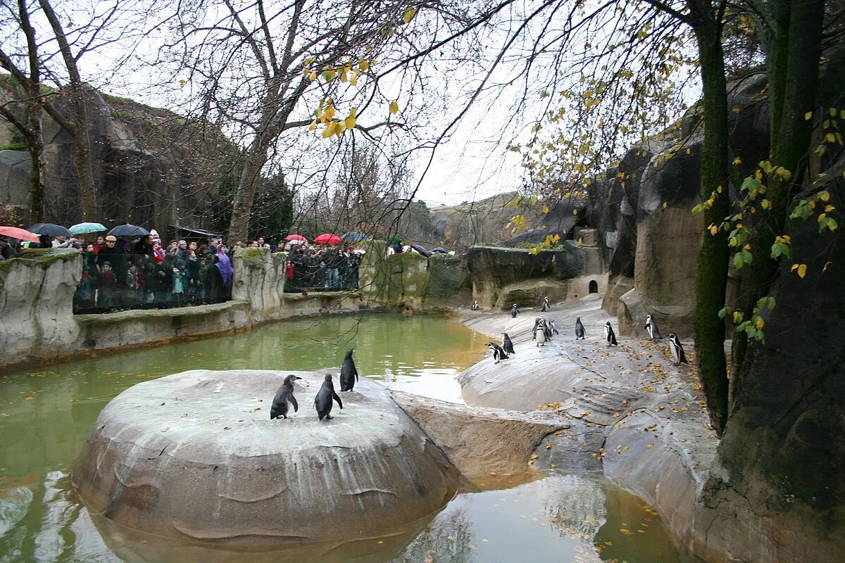 Parc Zoologique de Vincennes l Offre en semaine et week-end  tout compris l Bois de vincennes