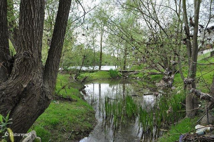 Ornithologie aux Îles de Chelles, Bois Saint Martin et de Célie   | Offre Week-End Tout Compris | Chelles